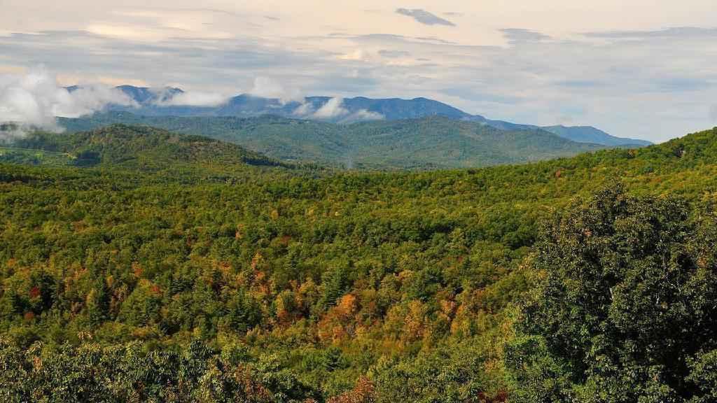 Enjoy cooler mountain temps between the highest 3 peaks in the Blue Ridge and Black Mountains