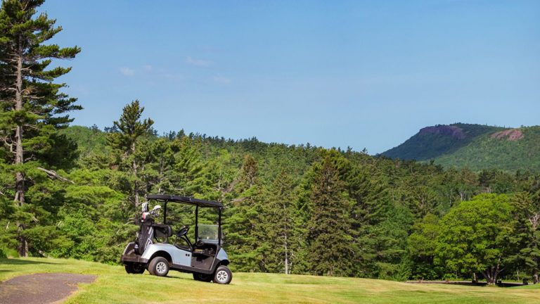 Electric Golf Carts for rent soon