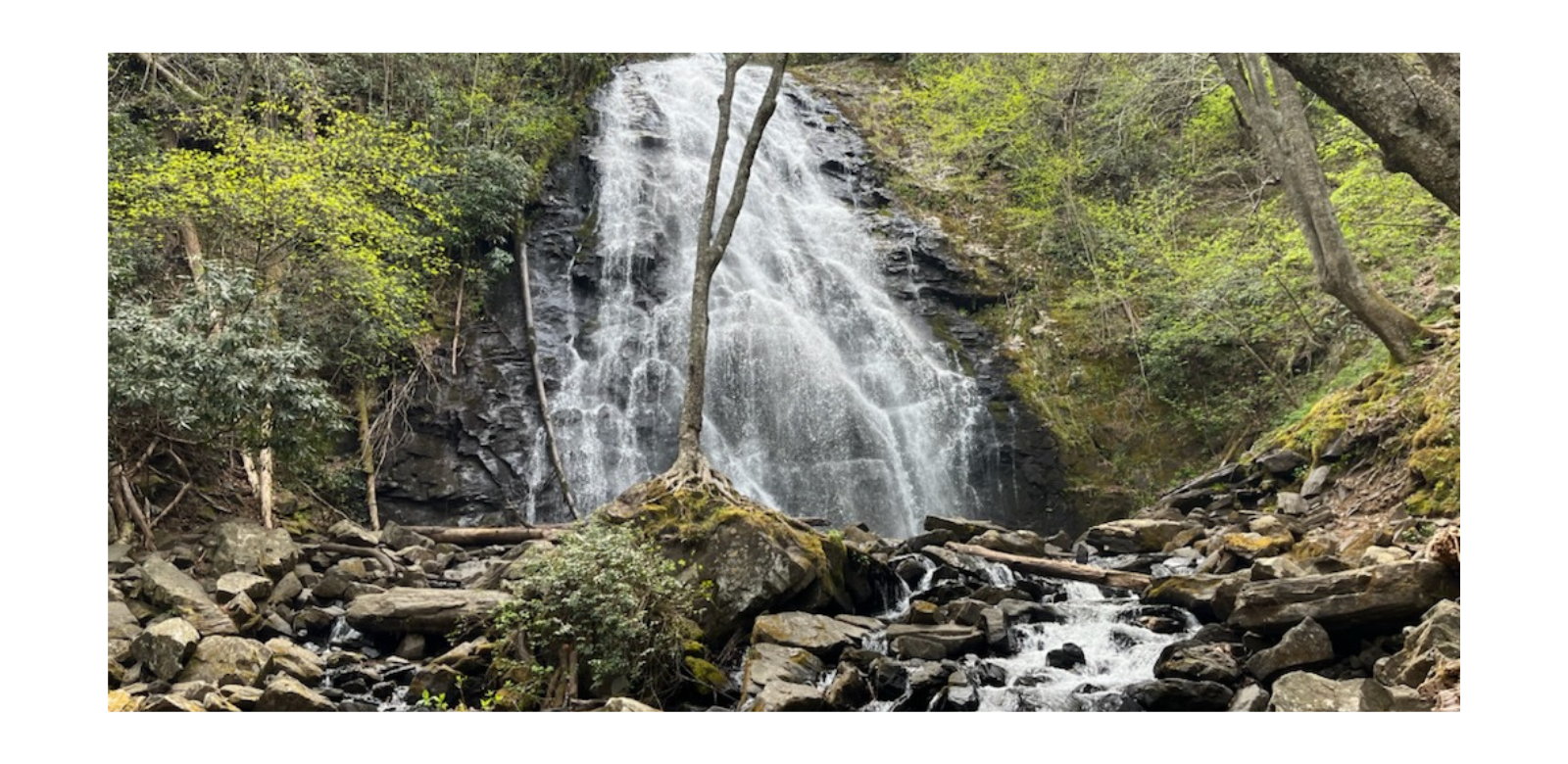 Hike to beautiful waterfalls like Grassy Creek or Linville Falls