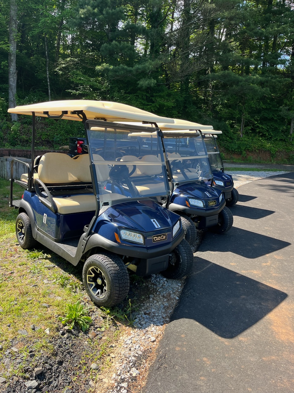 Golf carts and fishing pond at Three Peaks RV Park Resort and Campground